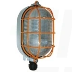 Oprawa oświetleniowa przeciwwybuchowa z siatką ochronną i szklanym kloszem, strefa 22, aluminiowa obudowa 250V 75W 1V M20 IP65